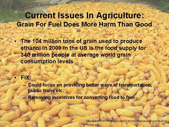 Current Issues In Agriculture: Grain For Fuel Does More Harm Than Good • The