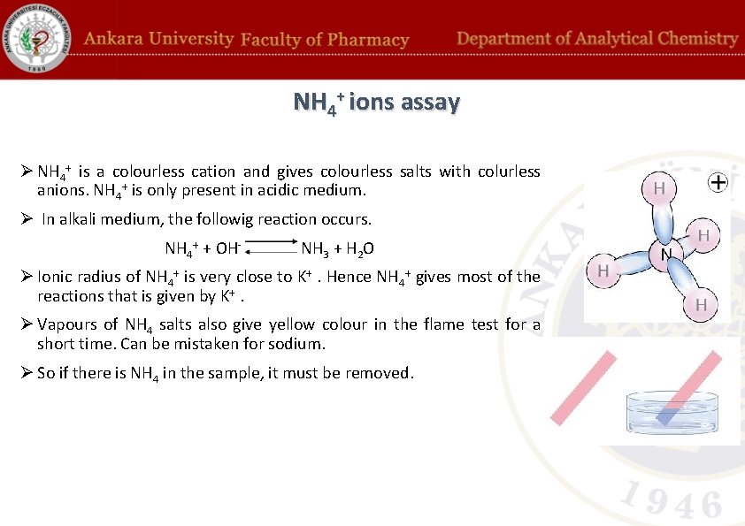 NH 4+ ions assay Ø NH 4+ is a colourless cation and gives colourless