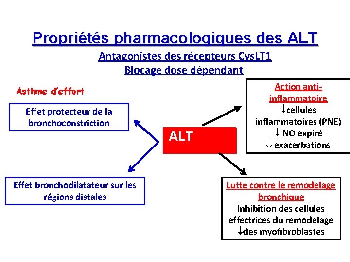 Propriétés pharmacologiques des ALT Antagonistes des récepteurs Cys. LT 1 Blocage dose dépendant Asthme