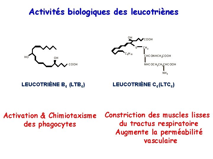 Activités biologiques des leucotriènes OH COOH S HO C 5 H 11 OH COOH