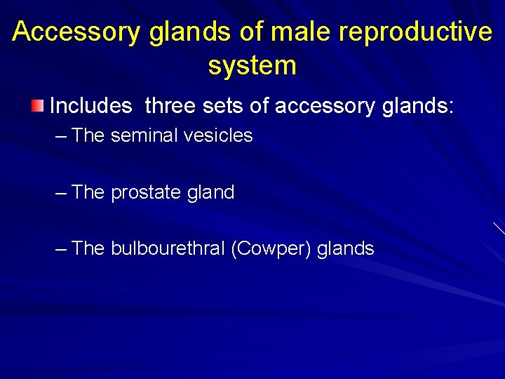 Accessory glands of male reproductive system Includes three sets of accessory glands: – The