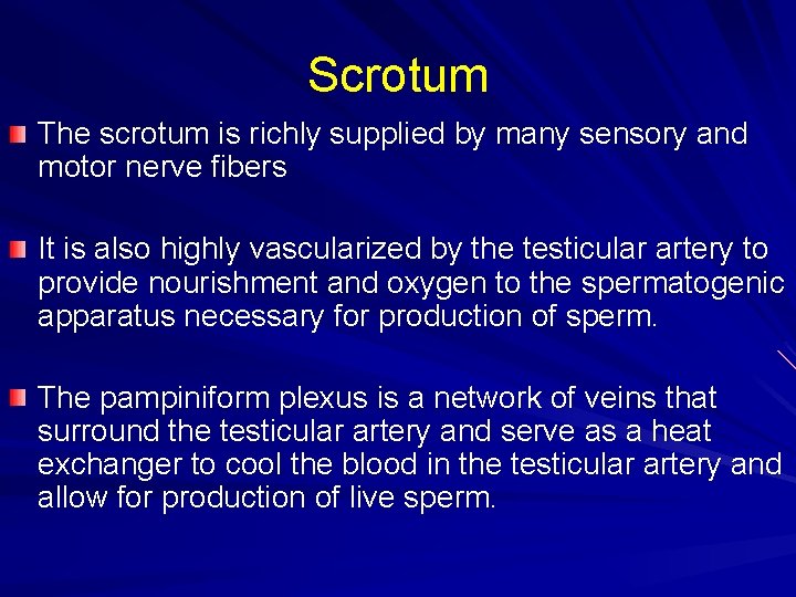 Scrotum The scrotum is richly supplied by many sensory and motor nerve fibers It