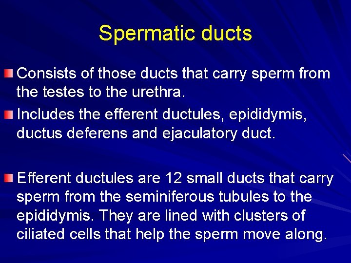 Spermatic ducts Consists of those ducts that carry sperm from the testes to the