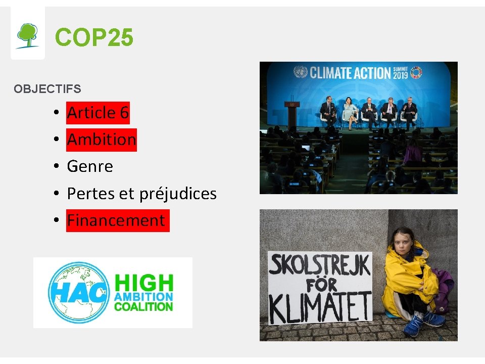 COP 25 OBJECTIFS • • • Article 6 Ambition Genre Pertes et préjudices Financement