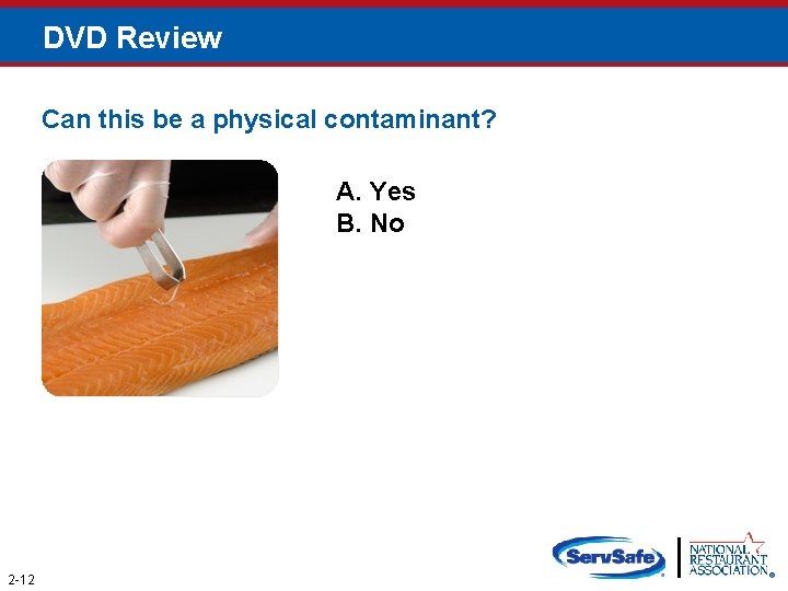 DVD Review Can this be a physical contaminant? A. Yes B. No 2 -12