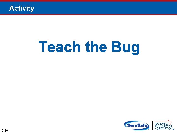 Activity Teach the Bug 2 -20 