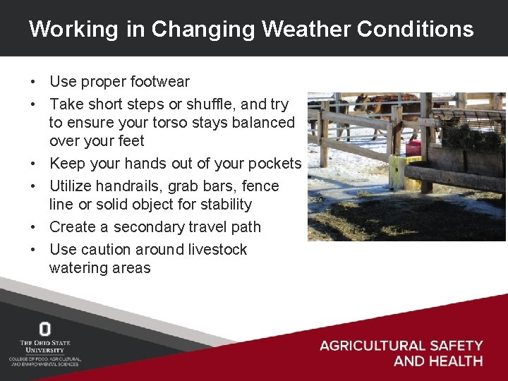 Working in Changing Weather Conditions • Use proper footwear • Take short steps or