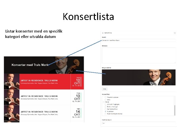 Konsertlista Listar konserter med en specifik kategori eller utvalda datum 