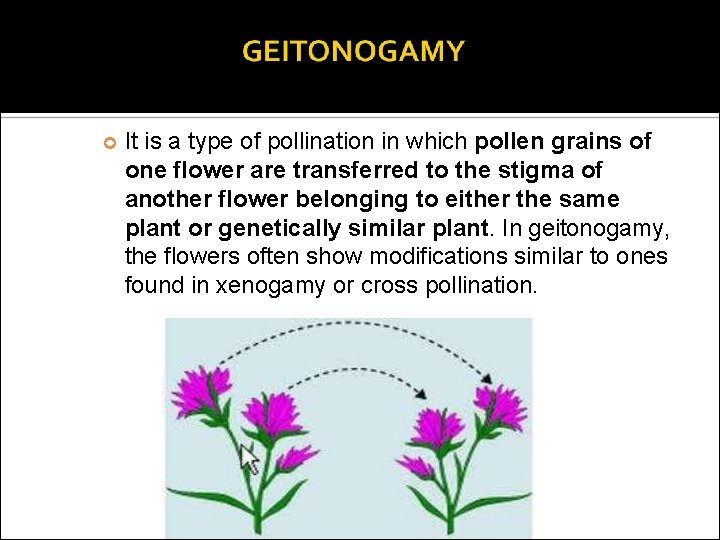  It is a type of pollination in which pollen grains of one flower