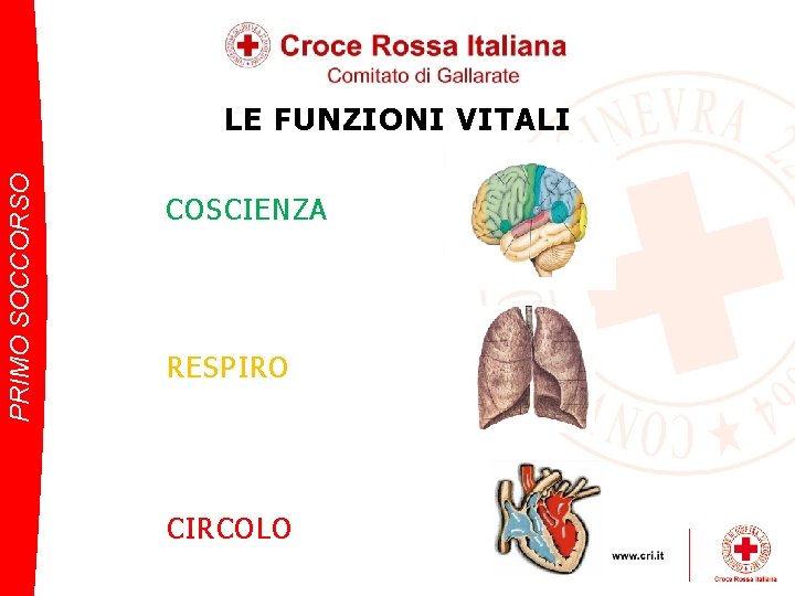 PRIMO SOCCORSO LE FUNZIONI VITALI COSCIENZA RESPIRO CIRCOLO 