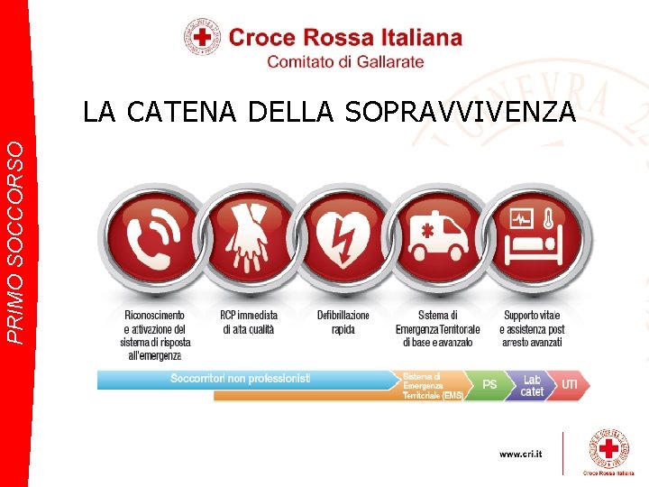 PRIMO SOCCORSO LA CATENA DELLA SOPRAVVIVENZA 