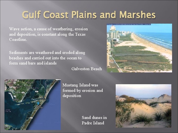 Gulf Coast Plains and Marshes Wave action, a cause of weathering, erosion and deposition,