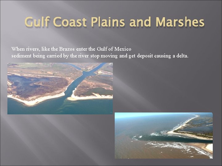 Gulf Coast Plains and Marshes When rivers, like the Brazos enter the Gulf of