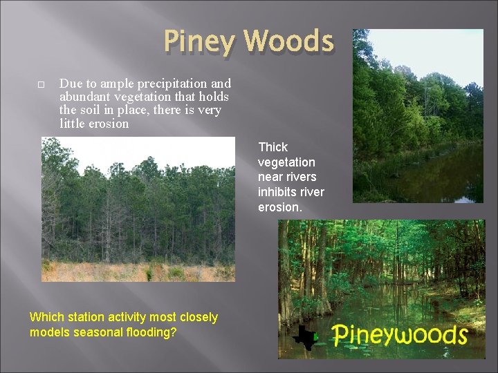 Piney Woods Due to ample precipitation and abundant vegetation that holds the soil in