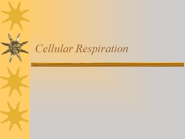 Cellular Respiration Cellular Respiration