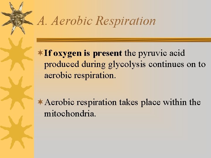 A. Aerobic Respiration ¬If oxygen is present the pyruvic acid produced during glycolysis continues A. Aerobic Respiration ¬If oxygen is present the pyruvic acid produced during glycolysis continues