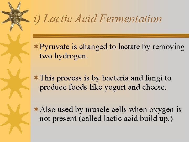 i) Lactic Acid Fermentation ¬Pyruvate is changed to lactate by removing two hydrogen. ¬This i) Lactic Acid Fermentation ¬Pyruvate is changed to lactate by removing two hydrogen. ¬This