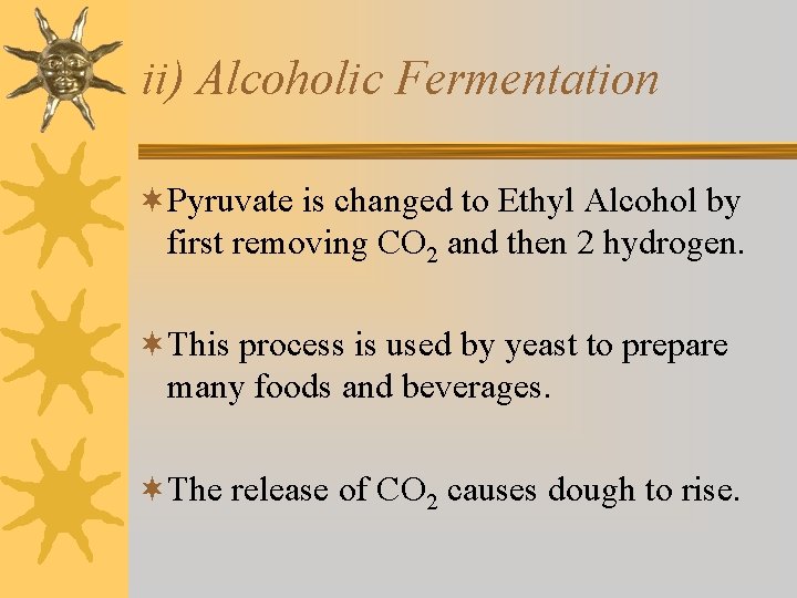 ii) Alcoholic Fermentation ¬Pyruvate is changed to Ethyl Alcohol by first removing CO 2 ii) Alcoholic Fermentation ¬Pyruvate is changed to Ethyl Alcohol by first removing CO 2