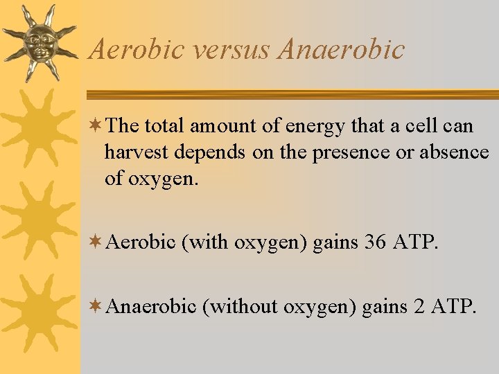 Aerobic versus Anaerobic ¬The total amount of energy that a cell can harvest depends Aerobic versus Anaerobic ¬The total amount of energy that a cell can harvest depends