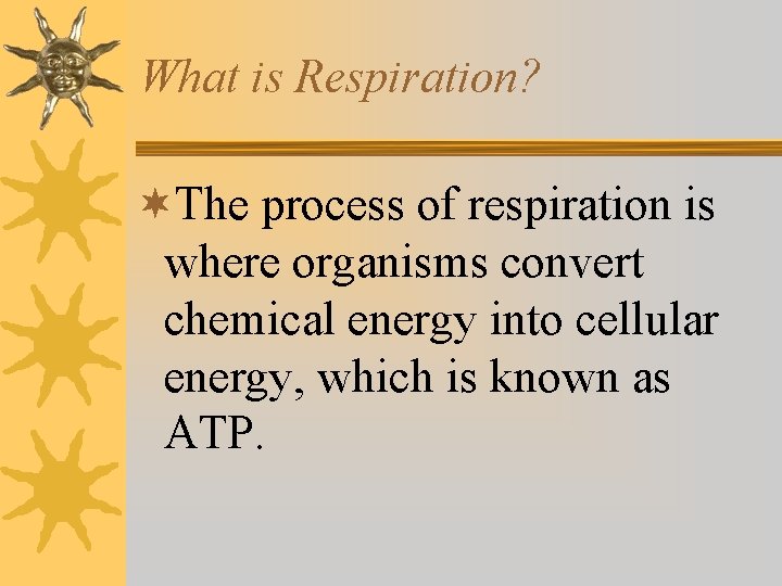 What is Respiration? ¬The process of respiration is where organisms convert chemical energy into What is Respiration? ¬The process of respiration is where organisms convert chemical energy into