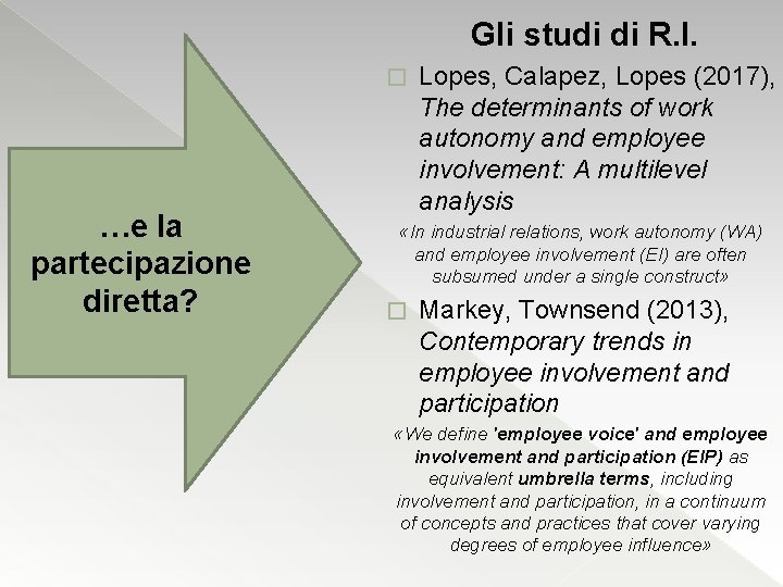 Gli studi di R. I. � …e la partecipazione diretta? Lopes, Calapez, Lopes (2017),