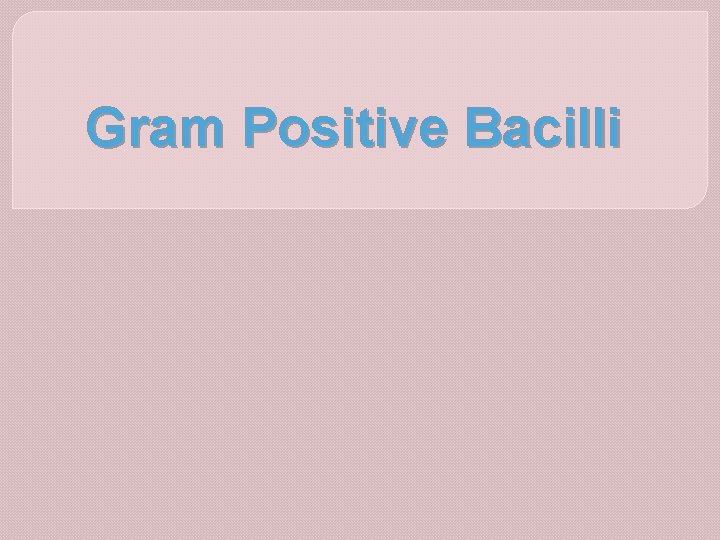 Gram Positive Bacilli 