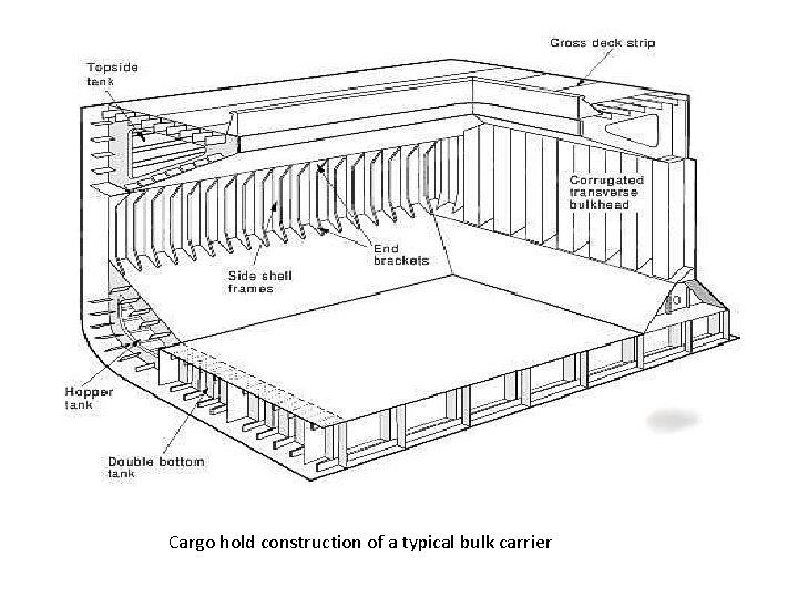 Cargo hold construction of a typical bulk carrier 