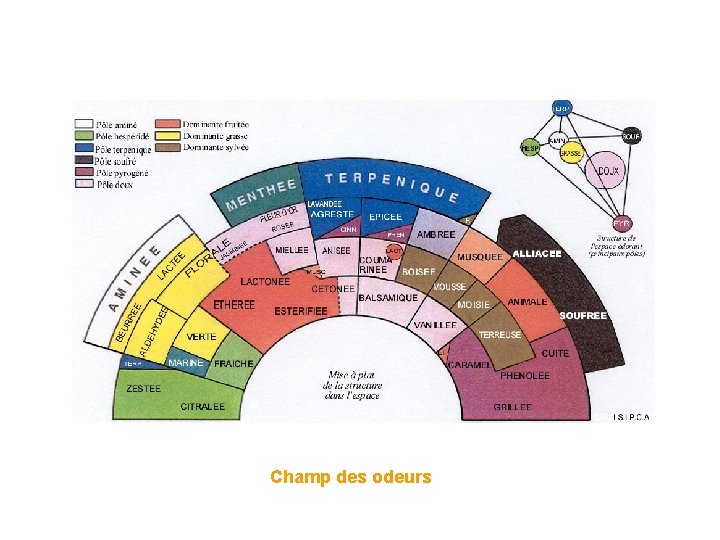 Champ des odeurs Champ des odeurs