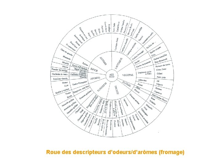 Roue descripteurs d’odeurs/d’arômes (fromage) Roue descripteurs d’odeurs/d’arômes (fromage)