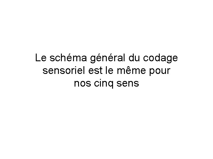 Le schéma général du codage sensoriel est le même pour nos cinq sens Le schéma général du codage sensoriel est le même pour nos cinq sens