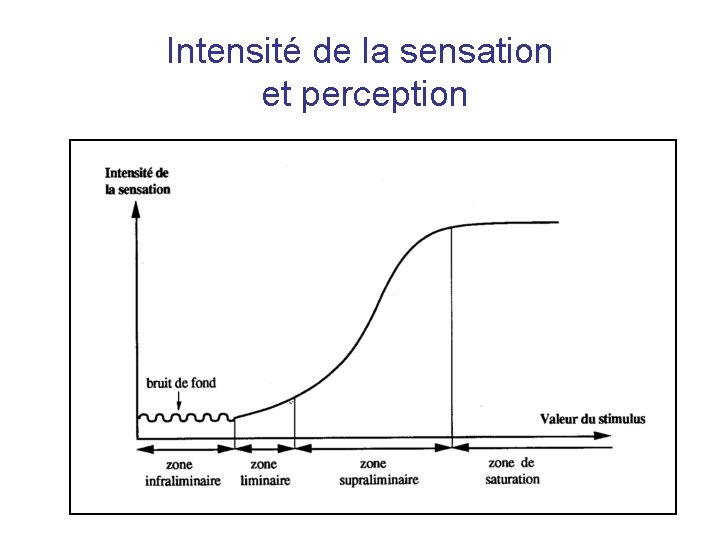 Intensité de la sensation et perception Intensité de la sensation et perception