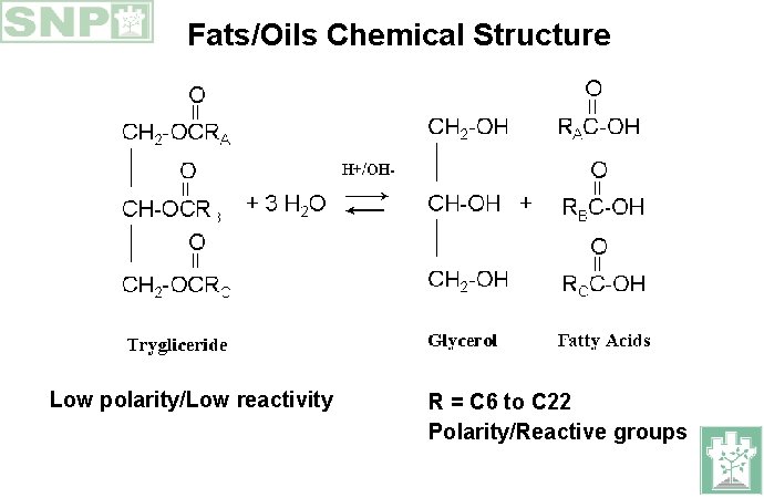 Fats/Oils Chemical Structure Low polarity/Low reactivity R = C 6 to C 22 Polarity/Reactive