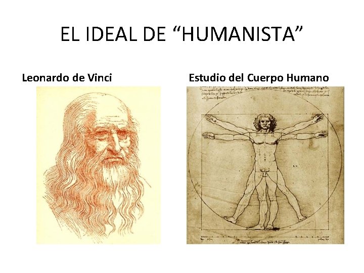 EL IDEAL DE “HUMANISTA” Leonardo de Vinci Estudio del Cuerpo Humano 