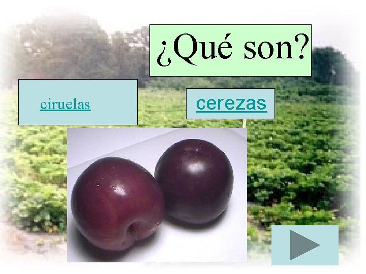 ¿Qué son? ciruelas cerezas 