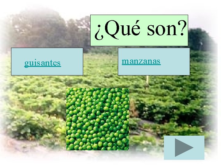 ¿Qué son? guisantes manzanas 