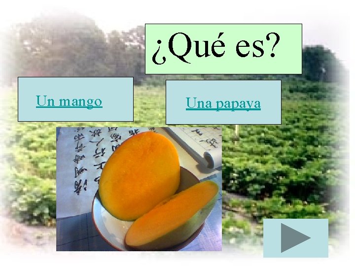 ¿Qué es? Un mango Una papaya 