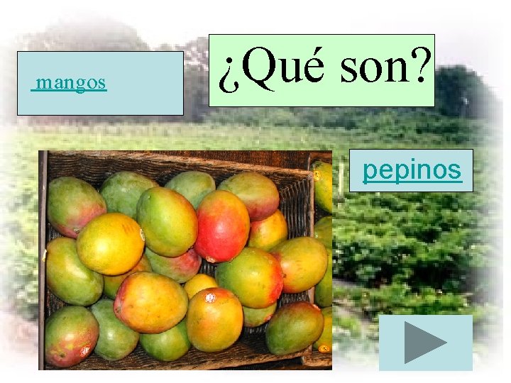 mangos ¿Qué son? pepinos 