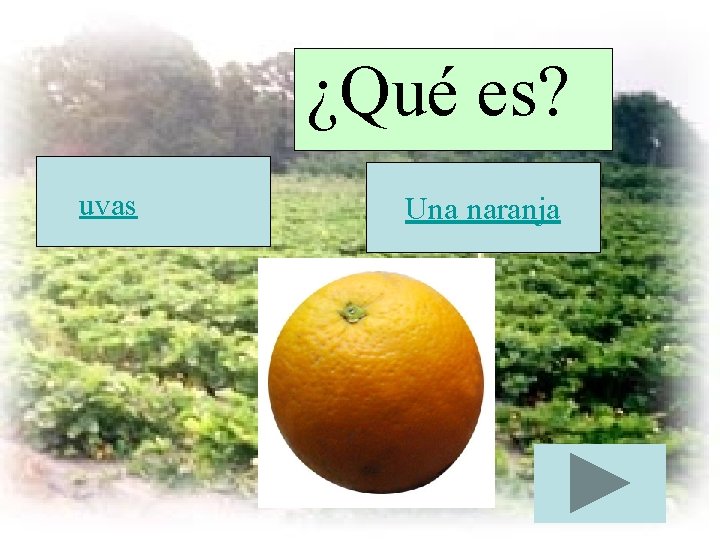 ¿Qué es? uvas Una naranja 