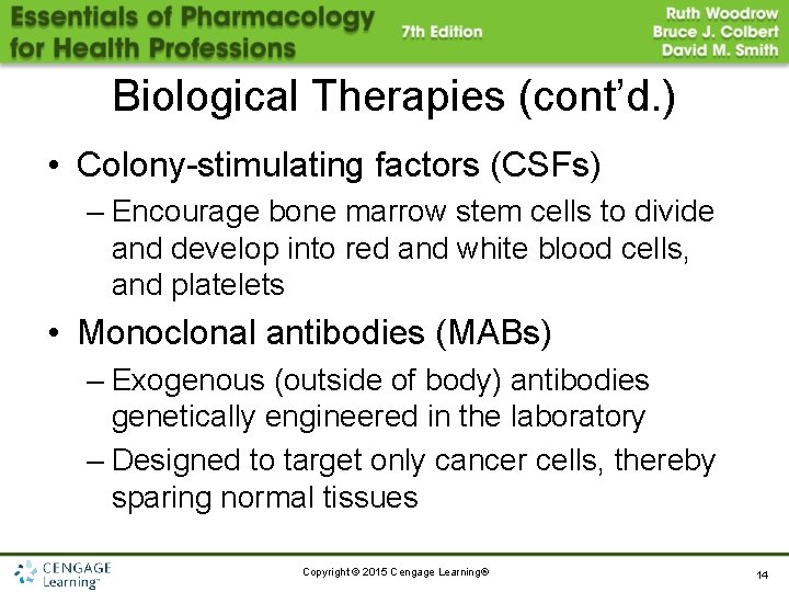 Biological Therapies (cont’d. ) • Colony-stimulating factors (CSFs) – Encourage bone marrow stem cells