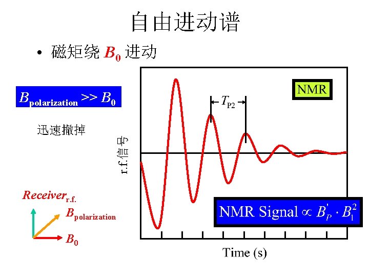自由进动谱 • 磁矩绕 B 0 进动 迅速撤掉 r. f. 信号 Bpolarization >> B 0