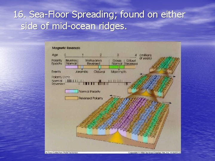 16. Sea-Floor Spreading; found on either side of mid-ocean ridges. 16. Sea-Floor Spreading; found on either side of mid-ocean ridges.