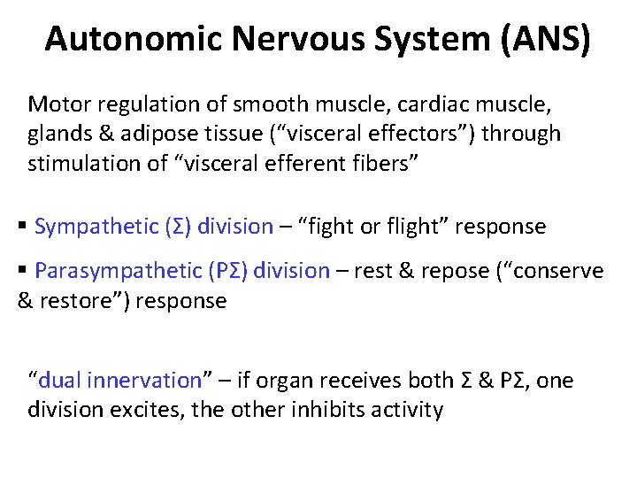 Autonomic Nervous System (ANS) Motor regulation of smooth muscle, cardiac muscle, glands & adipose