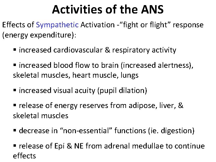 Activities of the ANS Effects of Sympathetic Activation -“fight or flight” response (energy expenditure):