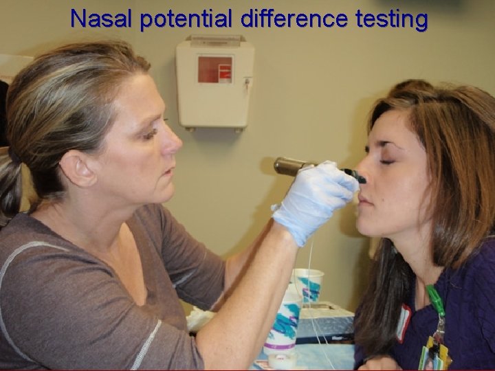 Nasal potential difference testing 