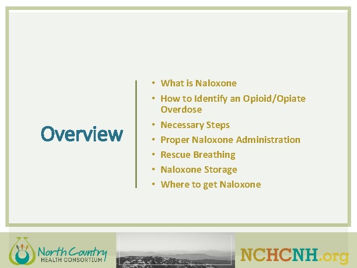 Overview • What is Naloxone • How to Identify an Opioid/Opiate Overdose • Necessary