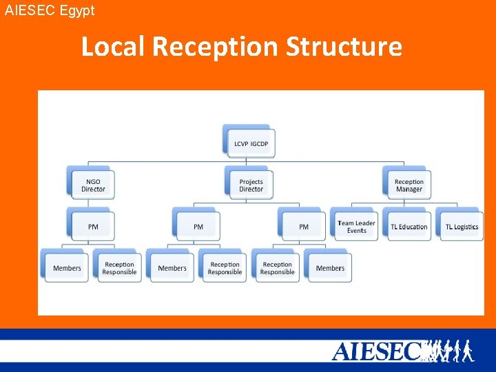 AIESEC Egypt Local Reception Structure 