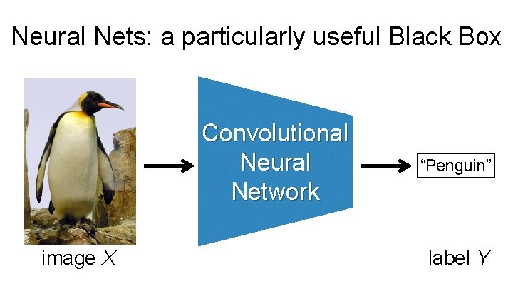Neural Nets: a particularly useful Black Box Convolutional Neural Network image X “Penguin” label