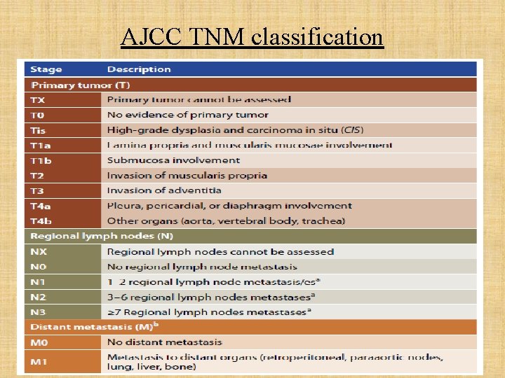 AJCC TNM classification 