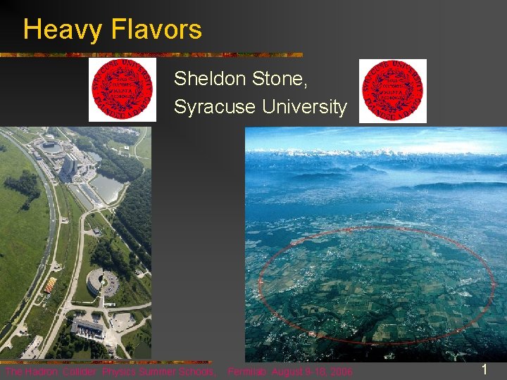 Heavy Flavors Sheldon Stone, Syracuse University The Hadron Collider Physics Summer Schools, Fermilab August