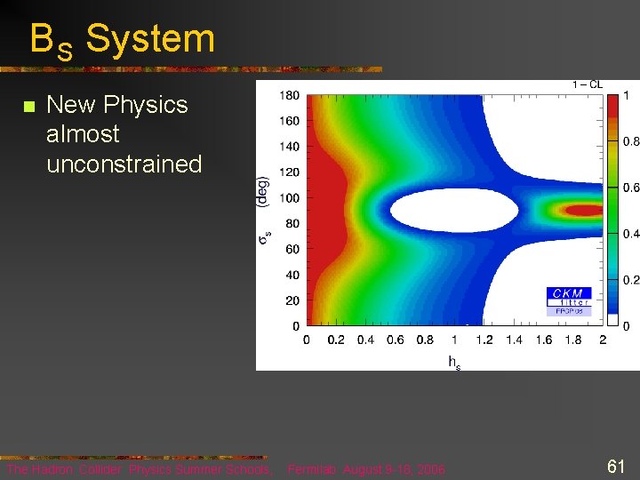 B S System n New Physics almost unconstrained The Hadron Collider Physics Summer Schools,